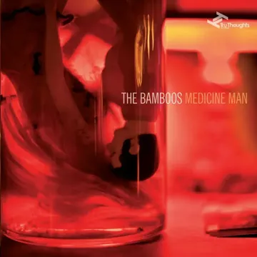 The Wilhelm Scream (feat. Meg Washington)-cover