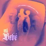 Mi Bebé-cover