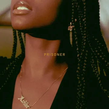 Prisoner-cover
