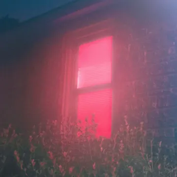 Velvet Light-cover