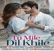 Tu Mile Dil Khile-cover