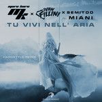 Tu Vivi Nell' Aria(Hardstyle Remix)(Remix)-cover