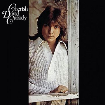 Chick Like Me-cover