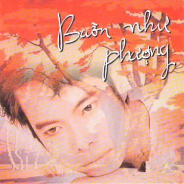 ngc-snyen-khoa-ti-vi-phng-bun-cover-image