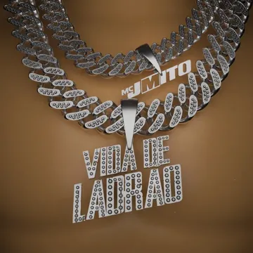 Vida de Ladrão-cover