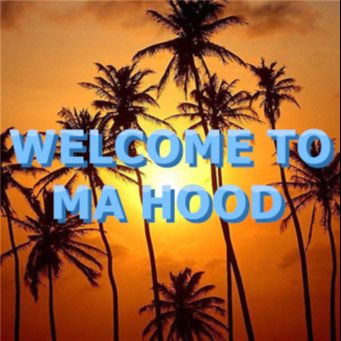 WELCOME TO MY HOOD-cover