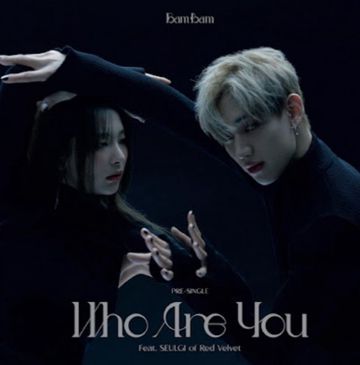 Who Are You-cover