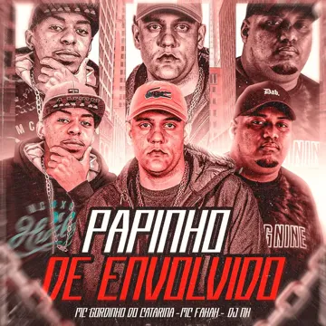 Papinho de Envolvido-cover