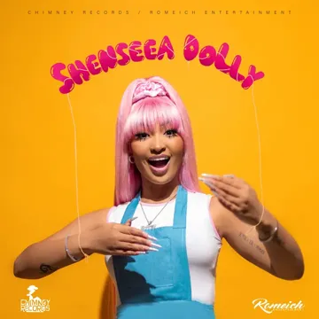 Dolly-cover