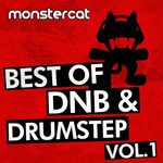 The Destroyer(Muzzy Remix)-cover