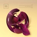 Zimt(Delamare Remix)-cover