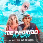 Me Pedindo pra Voltar-cover