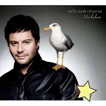 Elma Değil Ayva-cover