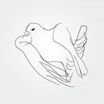 Blackbird-cover