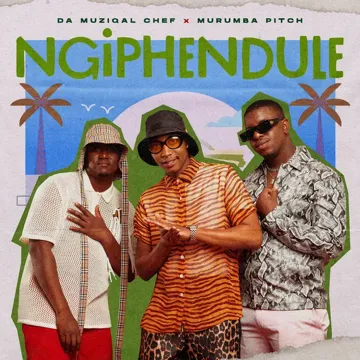 Ngiphendule-cover