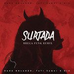 Surtada(Remix Brega Funk)-cover