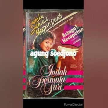 Cintaku Setulus Merpati Putih-cover