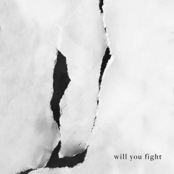 Will You Fight-cover