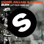 Burn (Let Your Mind Go) [feat. Luciana] (Radio Edit)-cover