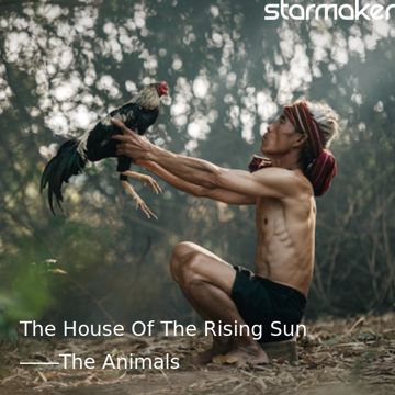 The House Of The Rising Sun-cover