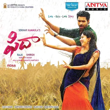 Vachinde-cover