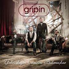 Aşk Nerden Nereye-cover