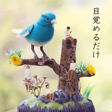 Mezameru Dake-cover
