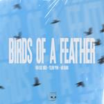 BIRDS OF A FEATHER(Techno Mix)(Remix)-cover