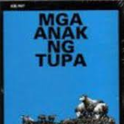 Kung Pagbibigyan