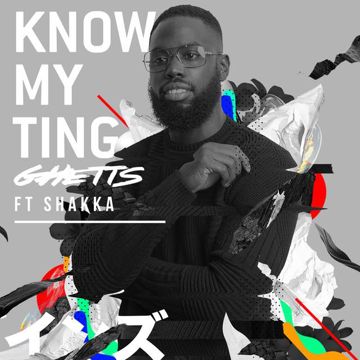 Know My Ting(Gorgon City Remix)-cover