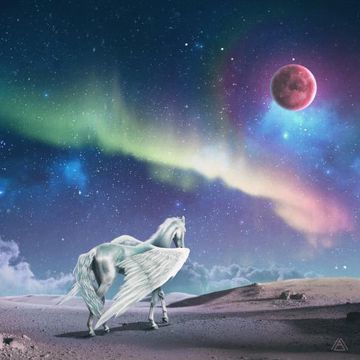 별을 담은 시-cover