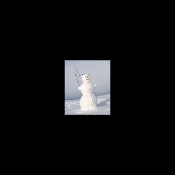 DSGIS-cover