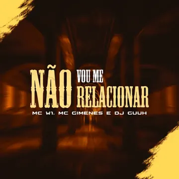 Não Vou Me Relacionar-cover