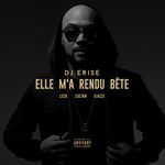 Elle m&039;a rendu bête-cover
