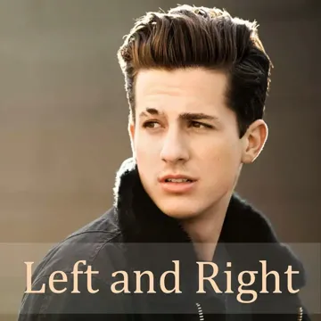 Left and Right-cover