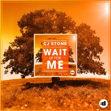 Wait up for Me (feat. Jonny Rose) (Mikro Edit)-cover