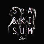 Liar-cover