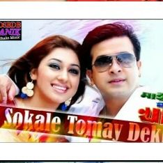 সকালে তোমায় দেখি-cover