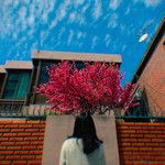 This Day-cover
