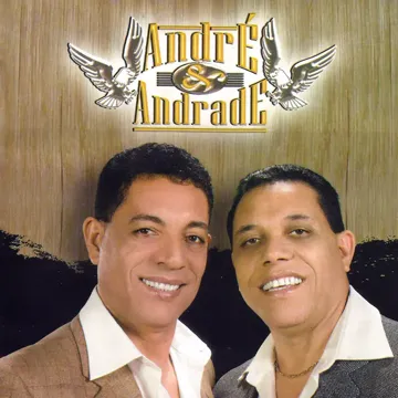 Pássaro Sem Ninho-cover