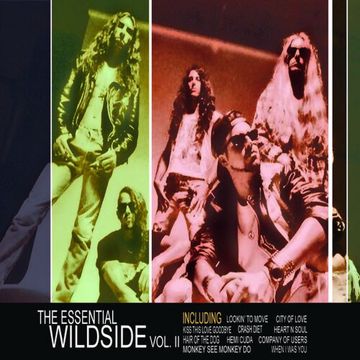 Wildside (adventures in babysitting)-cover