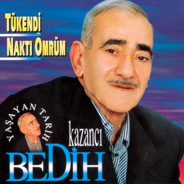 Yeşil ördek gibi daldım göllere.-cover