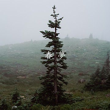봄날은 간다-cover