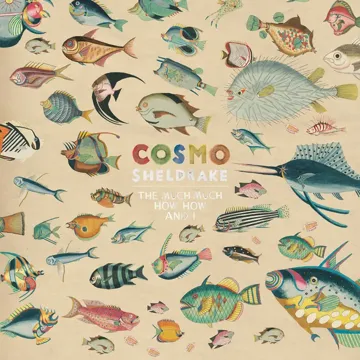 coveImg