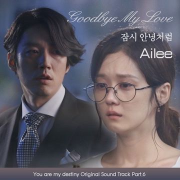 Goodbye My Love