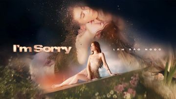 I'm Sorry-cover