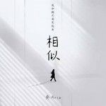 相似