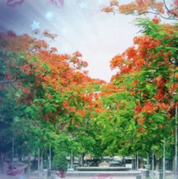 Thương Ca Mùa Hạ sc Beat Nữ ft Nam KNYT