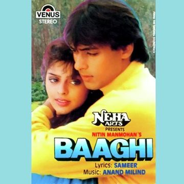 Chandni Raat Hai ( Short Ver.)-cover