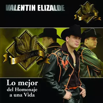Mi Amante-cover